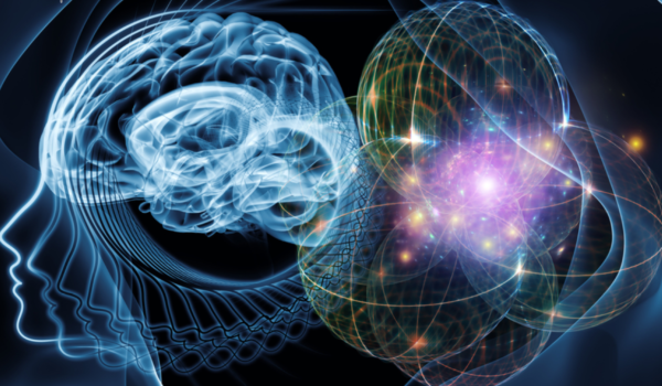 Training Development