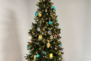 COMSO Tree Trimming Day